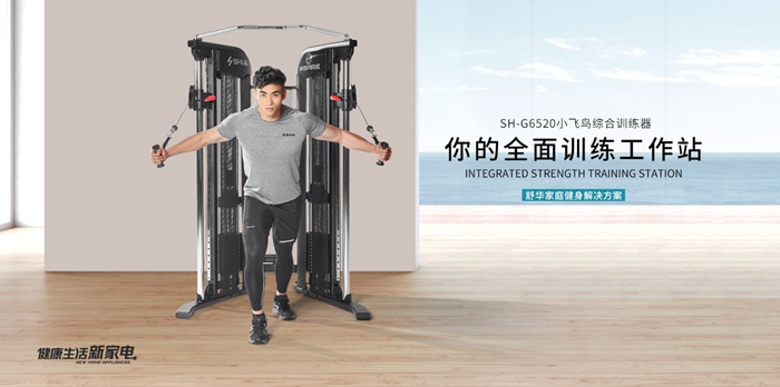 xc sports,xc健身器材-小飞鸟综合训练器SH-G6520